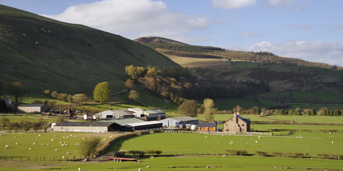 Welsh Government’s £17m Fund for Farmers to Address On-farm Pollution