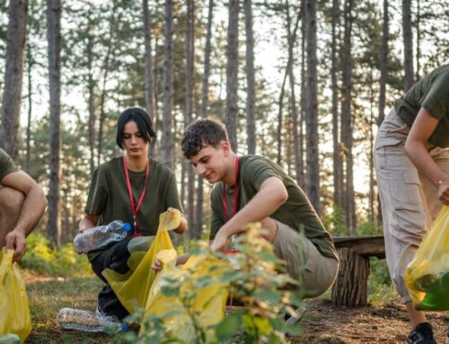 Bank of Scotland Foundation Announces 2025 Grant Programmes