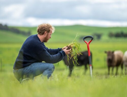 Grants for Welsh Farmers with New Ideas for Sustainability