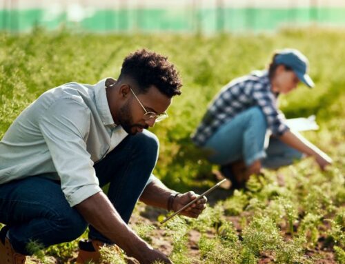 Waitrose Offers £500,000 to Support Low-Carbon Farming Practices