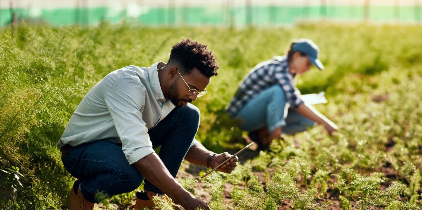 Waitrose Offers £500,000 to Support Low-Carbon Farming Practices