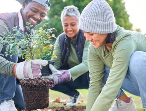 Greater Manchester Green Spaces Fund Opens for Applications