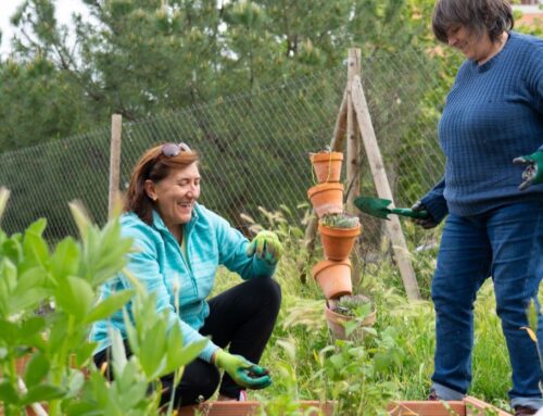 Network Rail Community Tree Planting Fund Accepting Applications for 2025 Funding Round