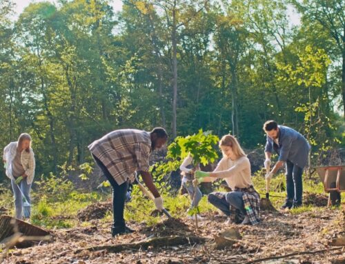 Funding to Improve Green Spaces Across London