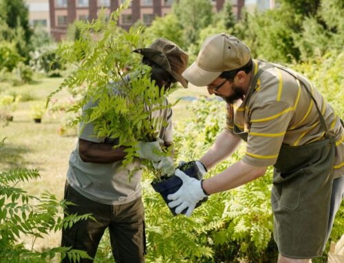 Green Roots Fund Accepting Applications for Winter 2025 Funding Round