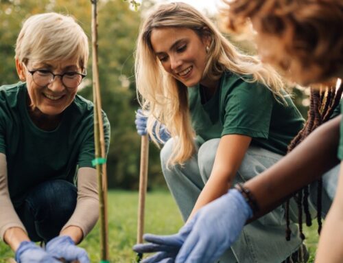 Veolia Environmental Trust Accepting Applications for Autumn 2025 Funding Round
