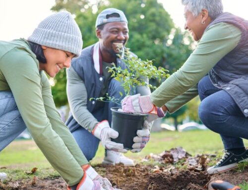 Community Gardens Awards Open for England, Wales and Northern Ireland