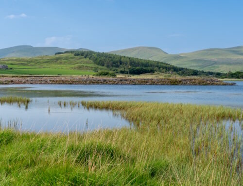 Applications Invited for Welsh Projects Improving Peatland and Habitats