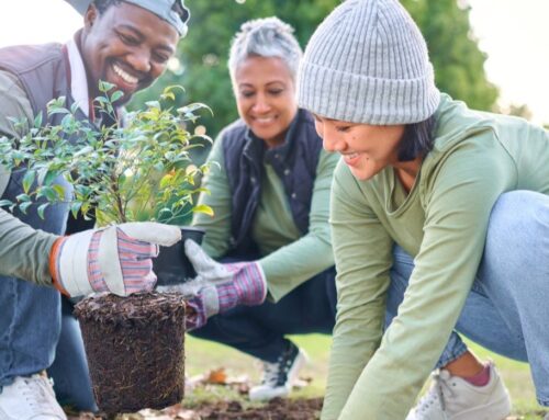 Urban Forestry Challenge Fund to Reopen on 24 November (Scotland)