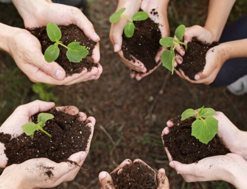 Grow Wild Community Programme Opens Applications for 2026 Projects