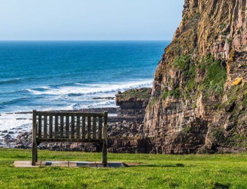 Sea-Changers Invites Applications for Innovation Fund