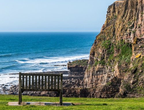 Marine Fund 2026/27 Opens in Scotland for Environmental and Fishing Initiatives