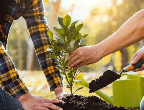 Funding for Communities Across Britain to Improve Nature