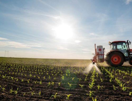 England’s Sustainable Farming Incentive Scheme Opens Soon