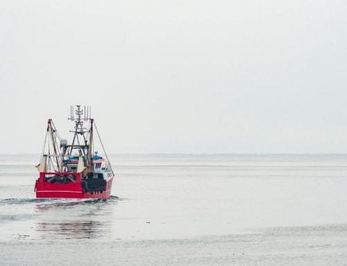Fisheries and Seafood Scheme Offer Grants for England’s Seafood Sector
