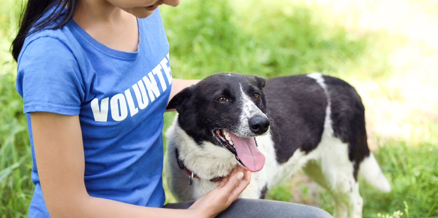 Battersea Offers Future Ready Grants for Companion Animal Welfare Charities Battersea Offers Future Ready Grants for Companion Animal Welfare Charities