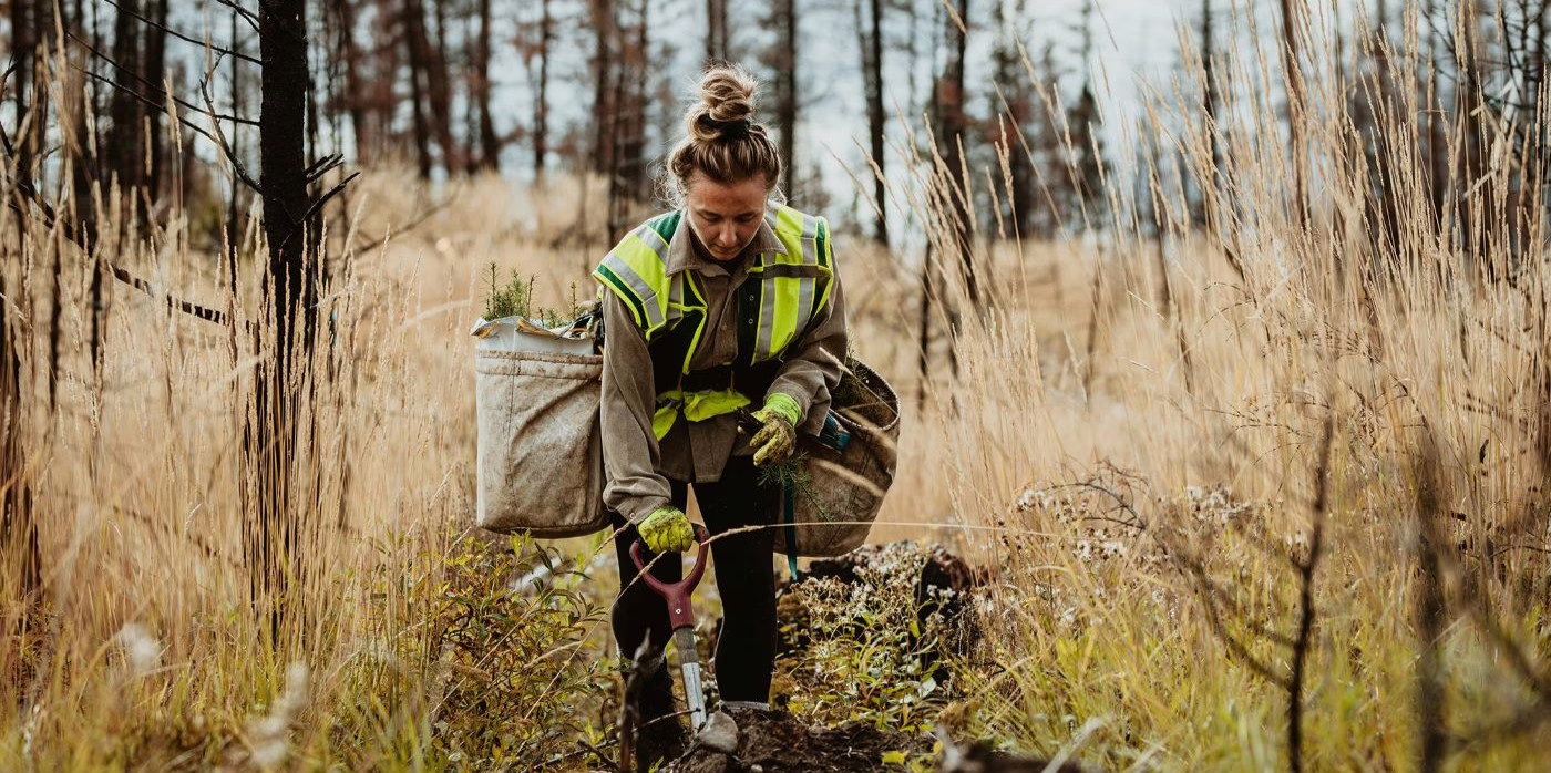 Peatland Conservation in Wales – Applications Open for Restoration Grants Peatland Conservation in Wales - Applications Open for Restoration Grants